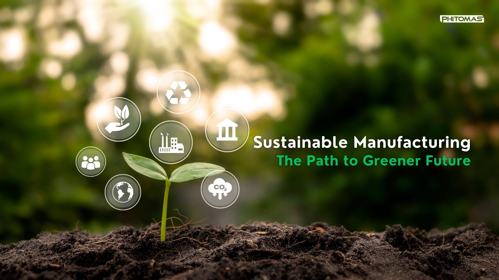Young Green Environmental Tree for Sustainable Manufacturing.