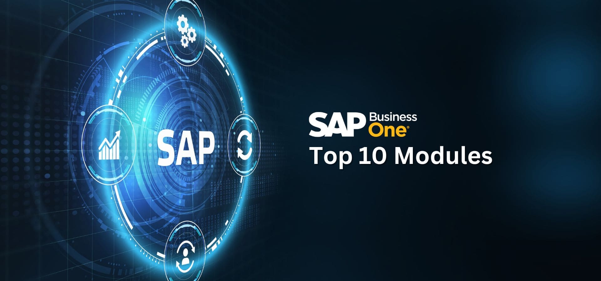 SAP Business One Top 10 Modules