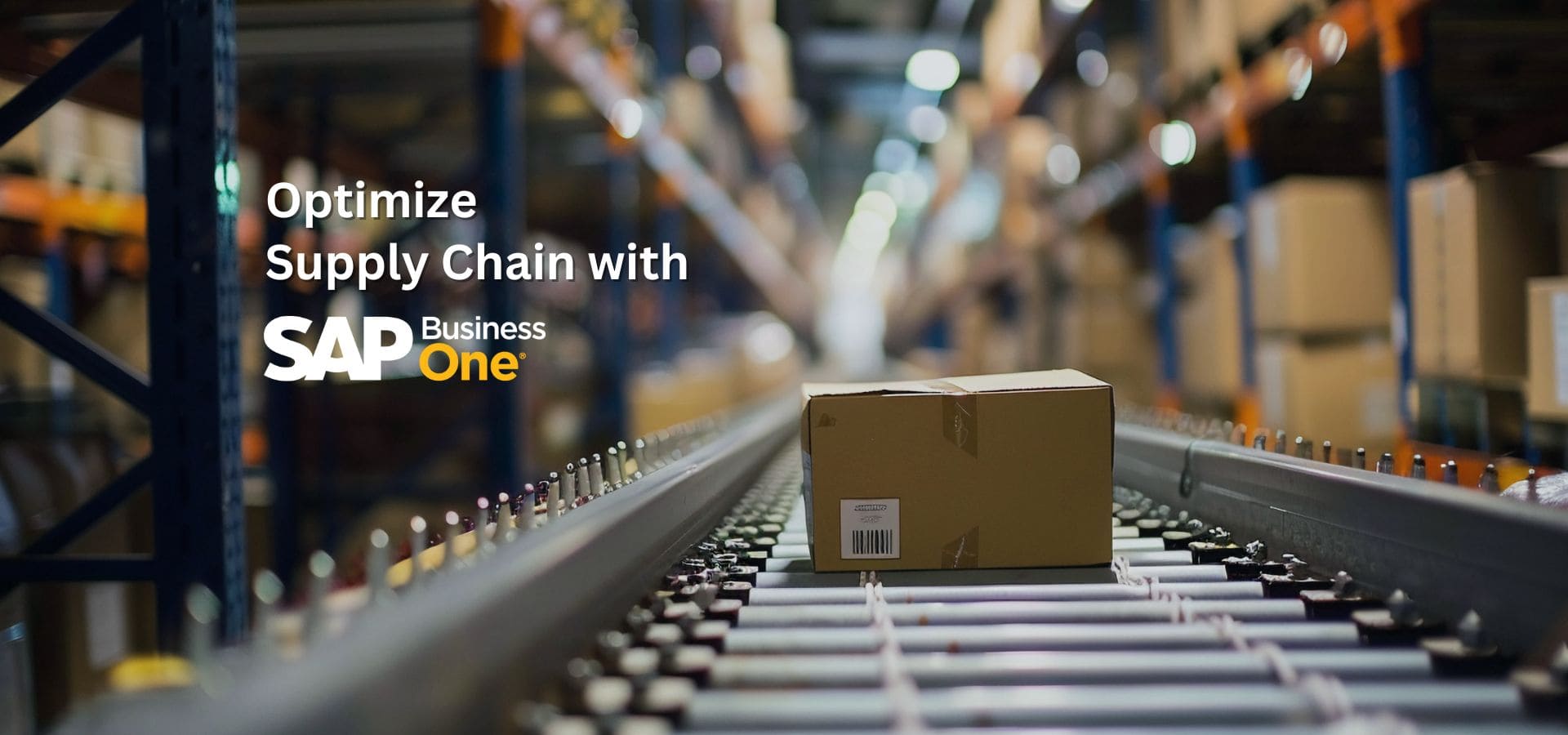 Optimize Supply Chain with SAP Business One