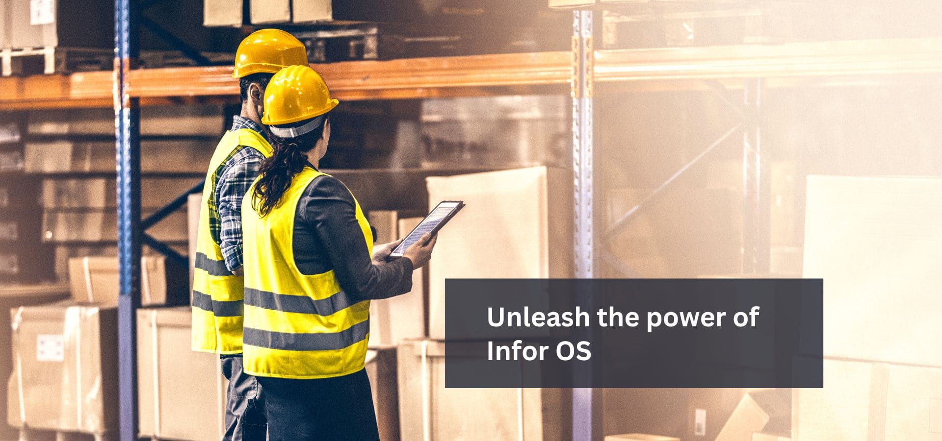 Unleash the power of Infor OS